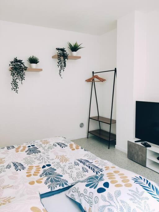 Magnifique Appartement T3 50 M2 Ομπερναί Εξωτερικό φωτογραφία